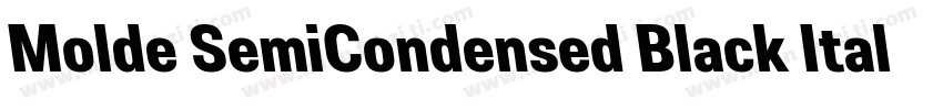 Molde SemiCondensed Black Italic字体转换